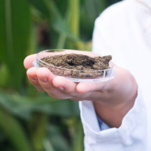 Certificate course in soil testing – Thumbnail